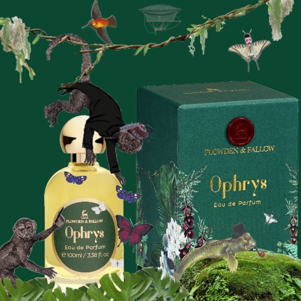 A Foray Into The Unknown: A Victorian Obsession