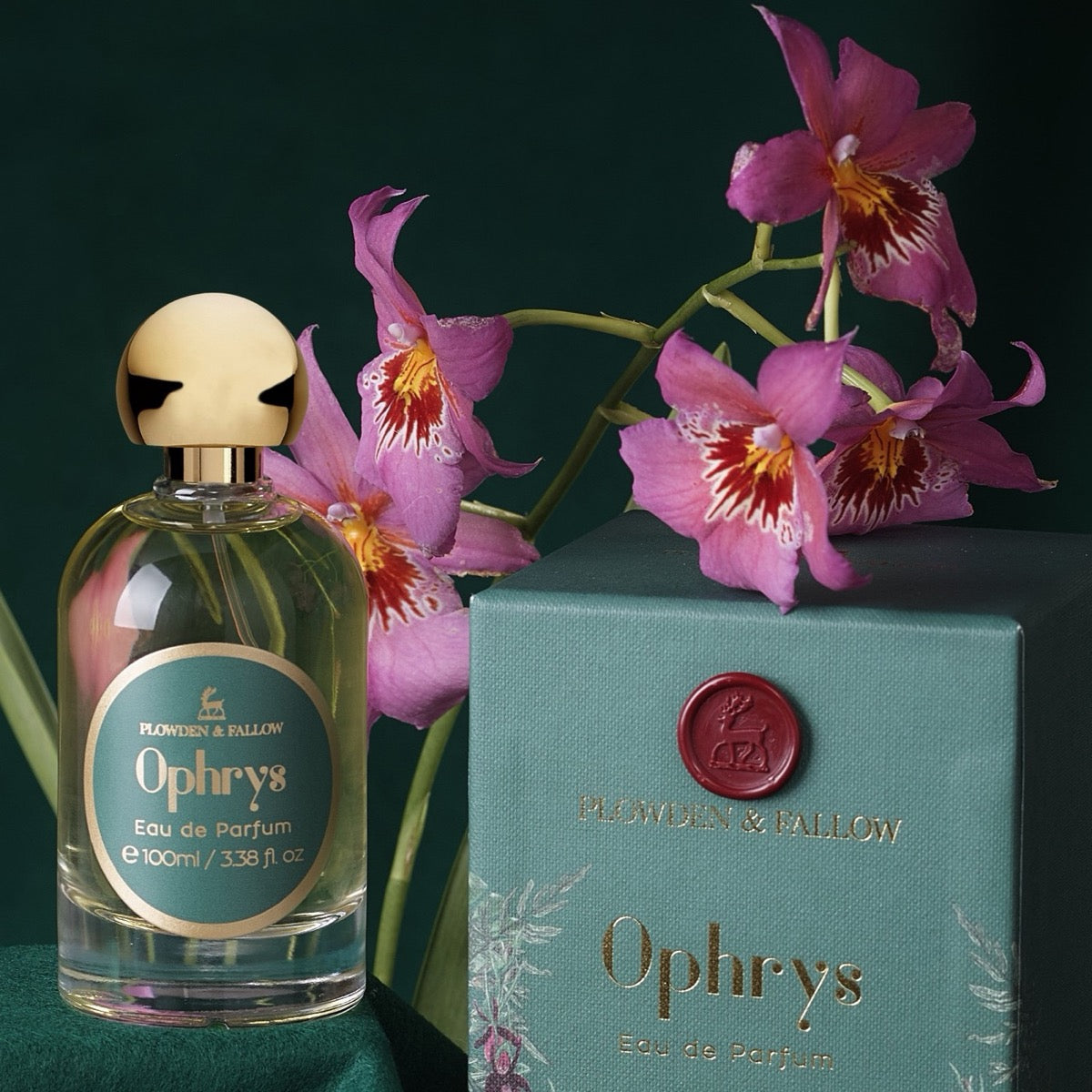 Exploring Floral Perfume Ingredients