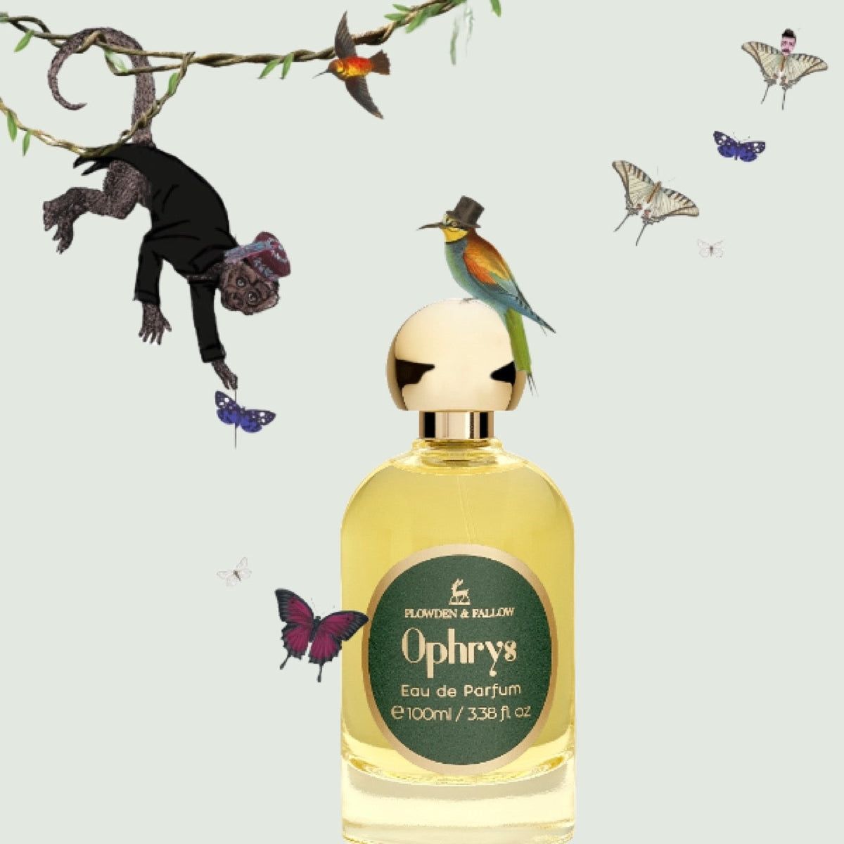 Petitgrain | The bitter orange perfume ingredient