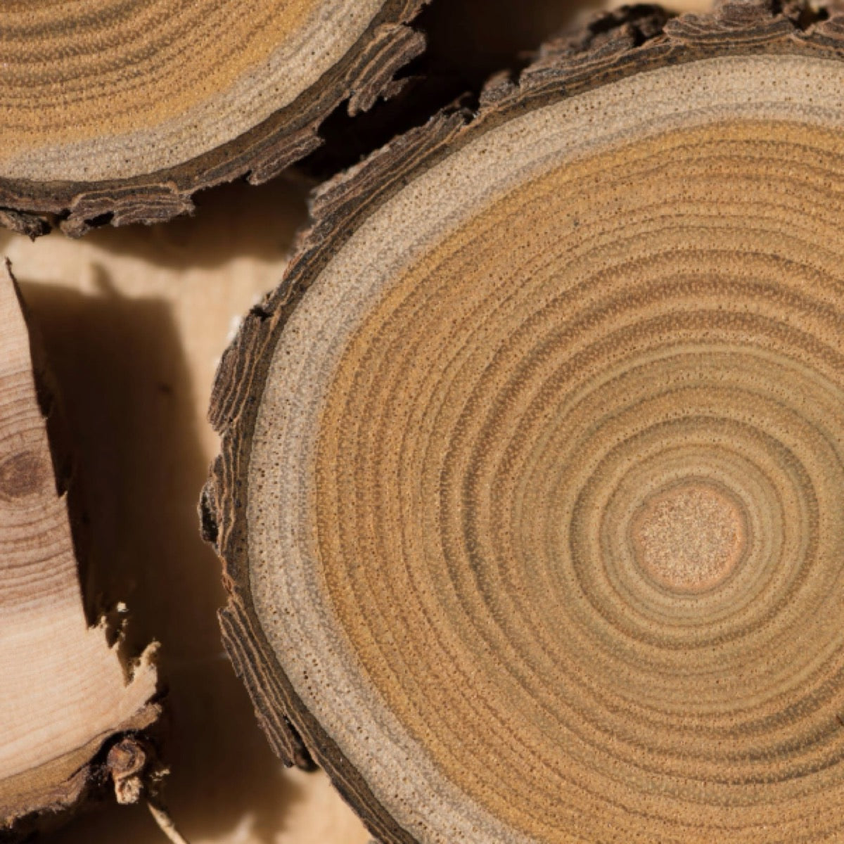 Perfume ingredients- Sandalwood