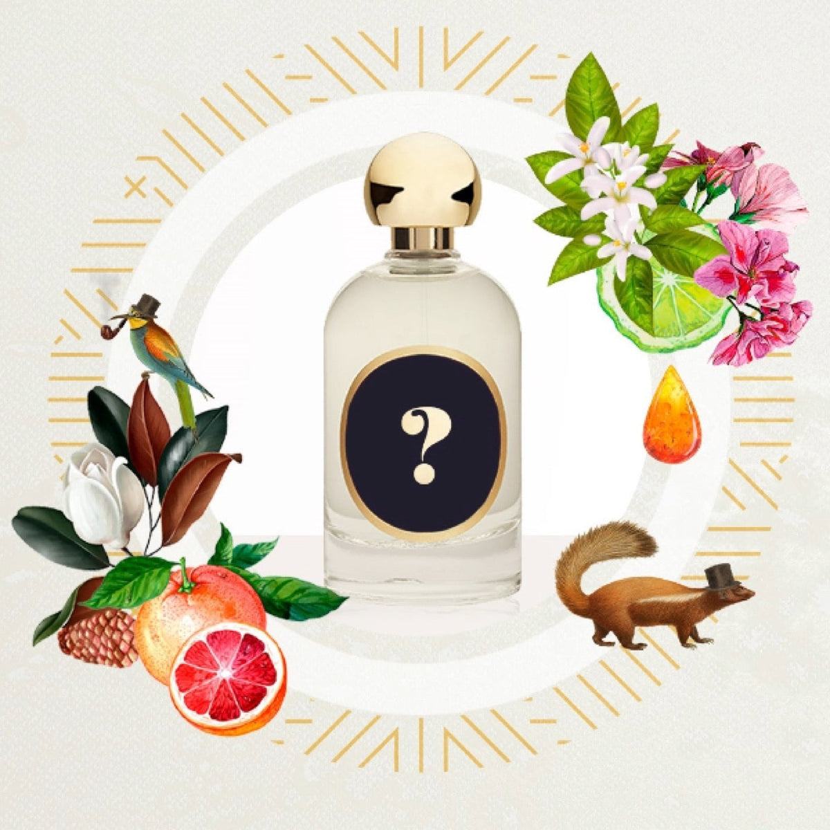 Where to Spray Cologne